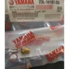 my-11134207-7r98r-lwi1xvgz6elm7b.webp ORIGINAL carburetor Float RXZ TS125 TS100 DT125 TXR150 TZM PELAMPONG CARBURETOR original SIZE 2 5